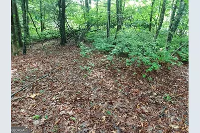 0 Lot 3 Jiminy Peak, Sky Valley, GA 30537 - Photo 5
