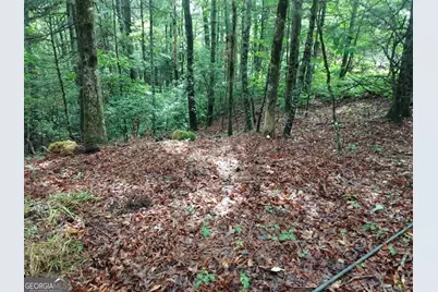 0 Lot 3 Jiminy Peak, Sky Valley, GA 30537 - Photo 1