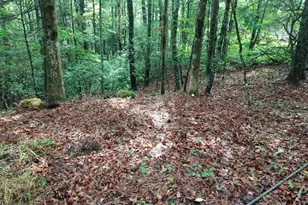 0 Lot 3 Jiminy Peak, Sky Valley, GA 30537 - Photo 1