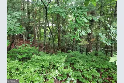 0 Lot 3 Jiminy Peak, Sky Valley, GA 30537 - Photo 3