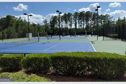 469 Silverbell Court, Peachtree City, GA 30269 - Photo 3