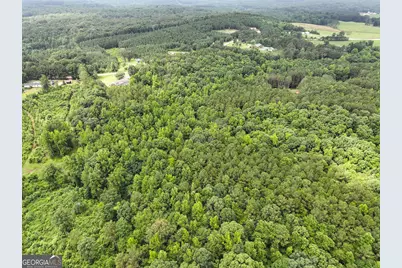 18 +/- Acres On Pope Lake Road, Buchanan, GA 30113 - Photo 21