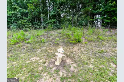 18 +/- Acres On Pope Lake Road, Buchanan, GA 30113 - Photo 13