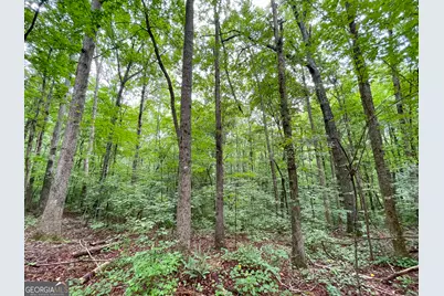18 +/- Acres On Pope Lake Road, Buchanan, GA 30113 - Photo 31