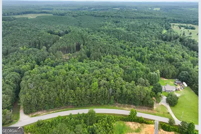 18 +/- Acres On Pope Lake Road, Buchanan, GA 30113 - Photo 23