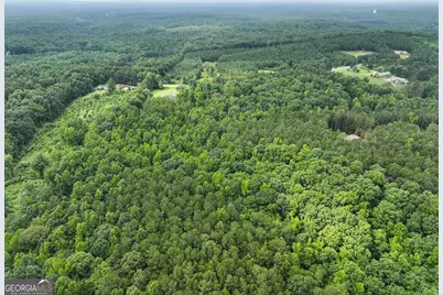 18 +/- Acres On Pope Lake Road, Buchanan, GA 30113 - Photo 33