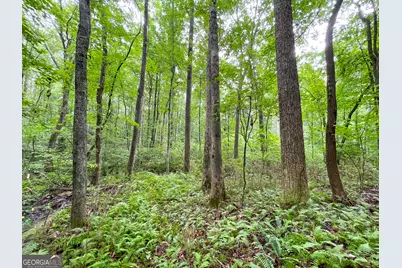 18 +/- Acres On Pope Lake Road, Buchanan, GA 30113 - Photo 3