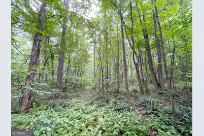 18 +/- Acres On Pope Lake Road, Buchanan, GA 30113 - Photo 19