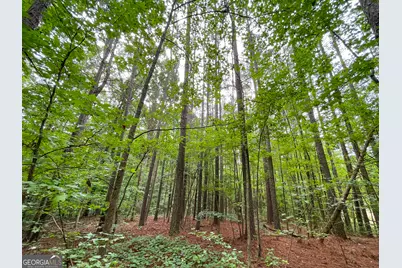18 +/- Acres On Pope Lake Road, Buchanan, GA 30113 - Photo 25