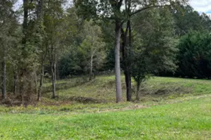 1001 Butterfly Cove Way, Locust Grove, GA 30248 - Photo 1