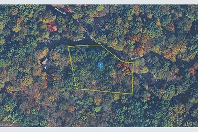 1060 Nexus Drive, Ellijay, GA 30540 - Photo 1