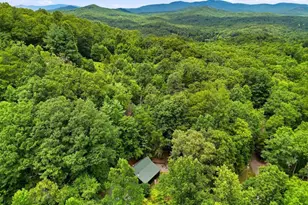 220 Oak Loop, Mineral Bluff, GA 30559 - Photo 39