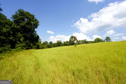 4689 Regan Road, Millen, GA 30442 - Photo 23