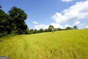 4689 Regan Rd, Millen, GA 30442 - Photo 23