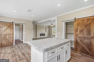 4689 Regan Rd, Millen, GA 30442 - Photo 9