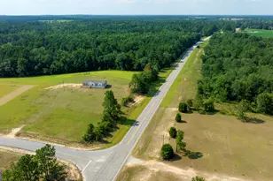 4689 Regan Rd, Millen, GA 30442 - Photo 31