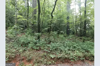 0 Lot 1A Wexford Way, Lakemont, GA 30552 - Photo 5