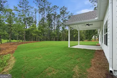 2474 Fischer Road, Sharpsburg, GA 30277 - Photo 47