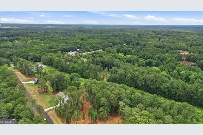 2470 Fischer Road, Sharpsburg, GA 30277 - Photo 61