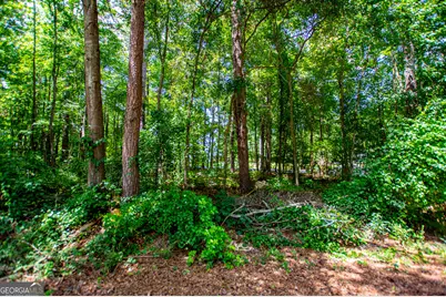 25 &amp; 35 Mary Lane, Carrollton, GA 30117 - Photo 35