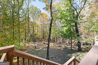 1010 Meadowview Ridge, Clarkesville, GA 30523 - Photo 35