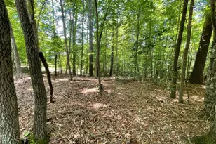 Lot 2 Mount Pleasant Ridge Rd, Blairsville, GA 30512 - Photo 1