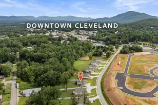 230 Campbell St, Cleveland, GA 30528 - Photo 37