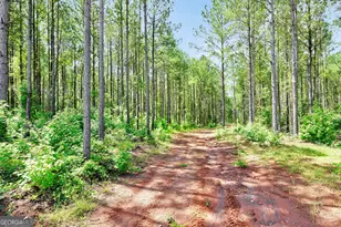 5700 Goolsby Rd, Monticello, GA 31064 - Photo 97