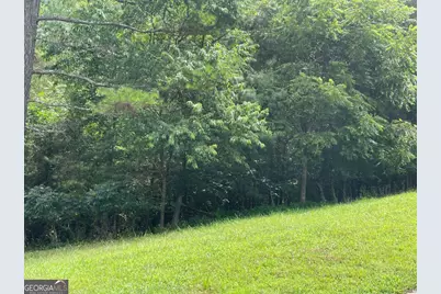 Lot 1 Pinehurst #1, Blairsville, GA 30512 - Photo 3