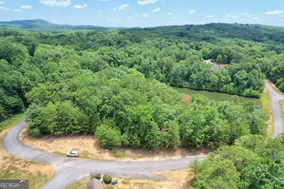 0 Lot #6A23 Pippin Circle, Clarkesville, GA 30523 - Photo 3