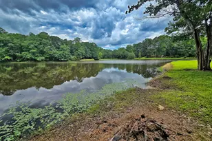 120 Aspen Lake Dr E, Newnan, GA 30263 - Photo 39