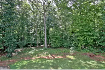 138 Old Bailey Farms Drive, Senoia, GA 30276 - Photo 33