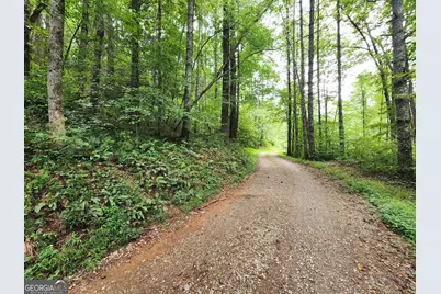 Tract 2B Poplar Cove Trail, Suches, GA 30572 - Photo 11