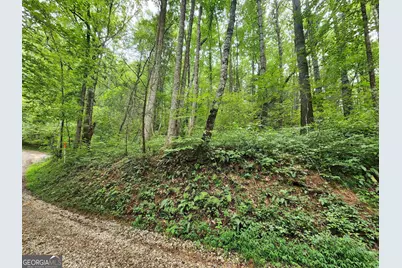 Tract 2A Poplar Cove Trail, Suches, GA 30572 - Photo 11