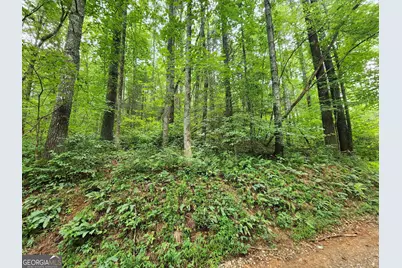 Tract 2A Poplar Cove Trail, Suches, GA 30572 - Photo 1
