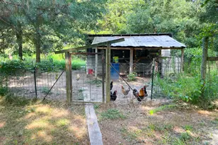 1175 Everett Springs Road NE (32 +/- Ac ), Calhoun, GA 30701 - Photo 43