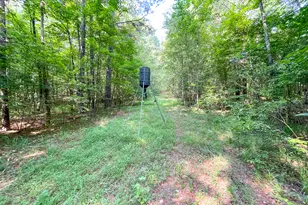 1175 Everett Springs Road NE (32 +/- Ac ), Calhoun, GA 30701 - Photo 45