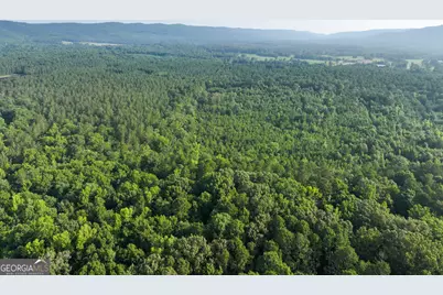 1175 Everett Springs Road, NE (32 +/- Ac.), Calhoun, GA 30701 - Photo 47