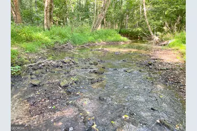 1175 Everett Springs Road, NE (32 +/- Ac.), Calhoun, GA 30701 - Photo 49