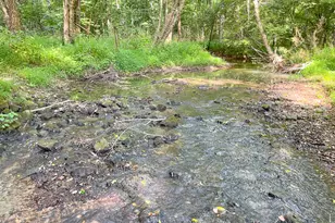 1175 Everett Springs Road NE (32 +/- Ac ), Calhoun, GA 30701 - Photo 49