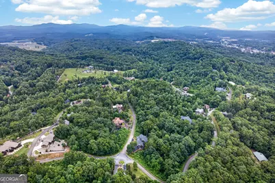 44 Staurolite Mountain Road, Blue Ridge, GA 30513 - Photo 173