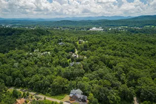 44 Staurolite Mountain Road, Blue Ridge, GA 30513 - Photo 165