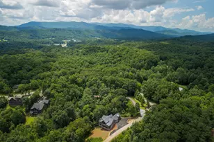 44 Staurolite Mountain Road, Blue Ridge, GA 30513 - Photo 163