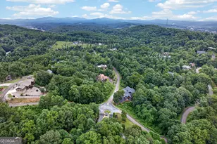 44 Staurolite Mountain Road, Blue Ridge, GA 30513 - Photo 171