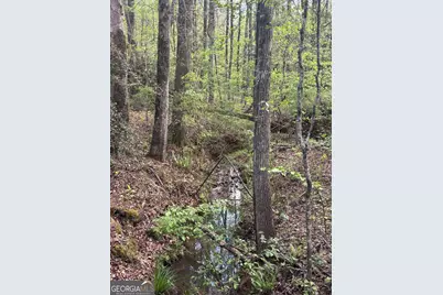 0 Valley Rescue Mission Road #202, Hamilton, GA 31811 - Photo 11