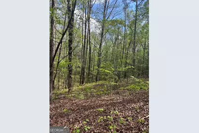 0 Valley Rescue Mission Road #202, Hamilton, GA 31811 - Photo 13