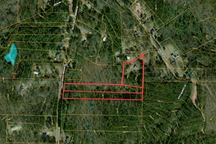 45 Scott Murphy Ln, Hamilton, GA 31811 - Photo 1