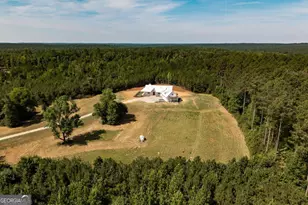 3612 Athens Hwy, Greensboro, GA 30642 - Photo 43