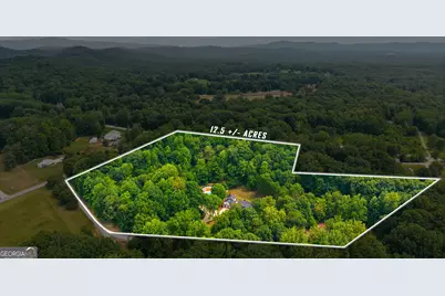 2336 Fred Pitts Road, Clarkesville, GA 30523 - Photo 3
