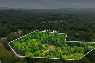 2336 Fred Pitts Rd, Clarkesville, GA 30523 - Photo 3